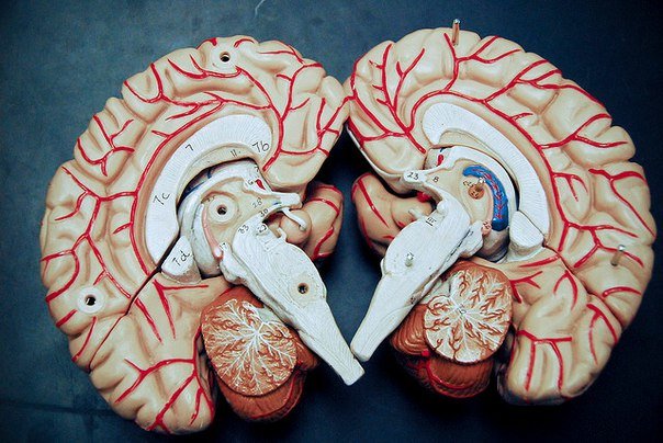 Россия. Применение силы мысли Россия. Применение силы мысли