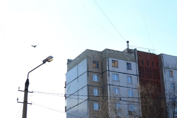 Сводки от ополчения Новороссии 22.12.2015 Сводки от ополчения Новороссии 22.12.2015