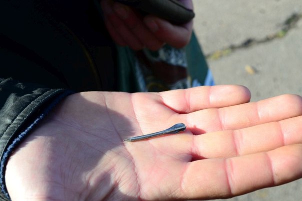 Сводки от ополчения Новороссии 22.12.2015 Сводки от ополчения Новороссии 22.12.2015