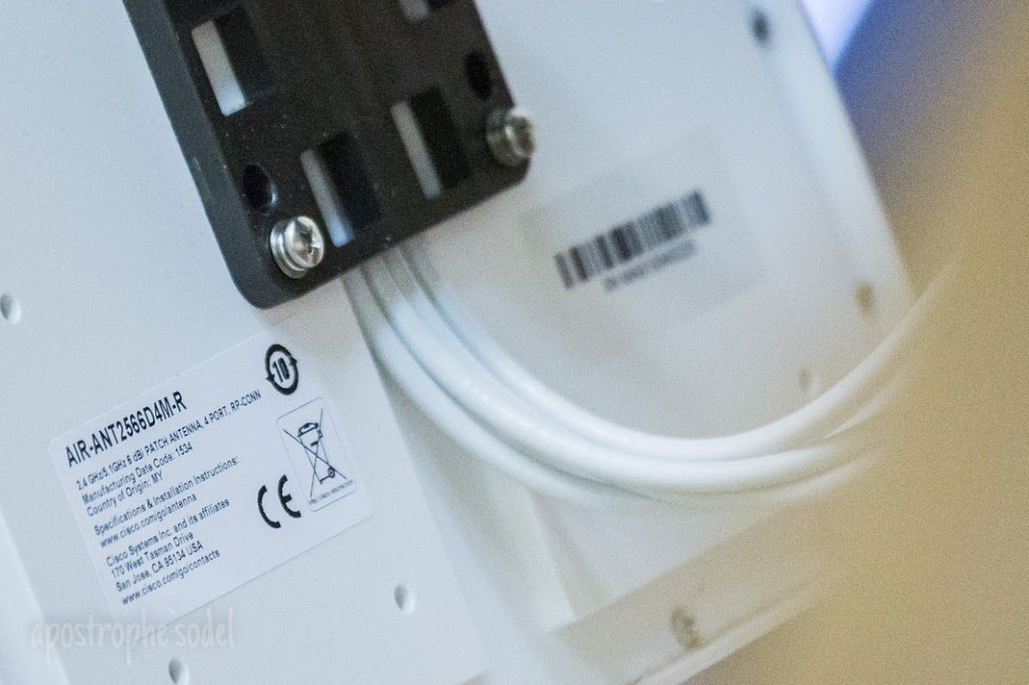 Подборка новостей из страны породистых скакунов 23-12-2015 Подборка новостей из страны породистых скакунов 23-12-2015