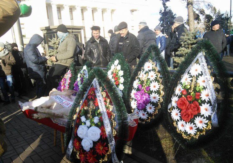К зданию Верховной рады митингующие принесли гроб со свиньёй К зданию Верховной рады митингующие принесли гроб со свиньёй