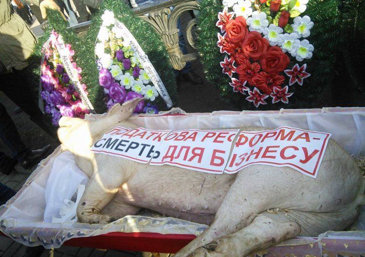 К зданию Верховной рады митингующие принесли гроб со свиньёй К зданию Верховной рады митингующие принесли гроб со свиньёй