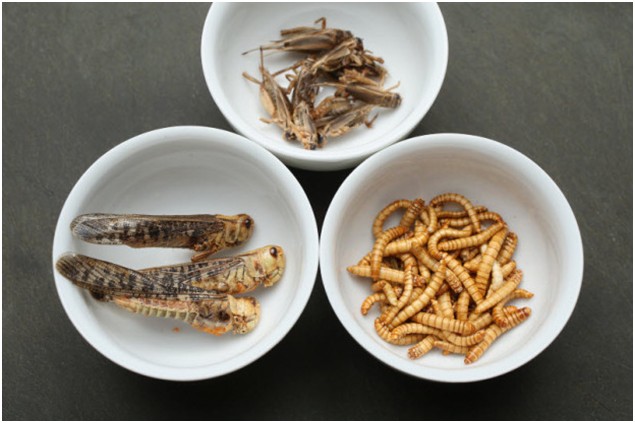 Тайна, которую знает натовская свинья. Юрий Селиванов Тайна, которую знает натовская свинья. Юрий Селиванов