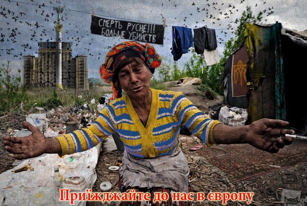 "Мыздобулы" в картинках. Смешных и не очень... 25-12-2015