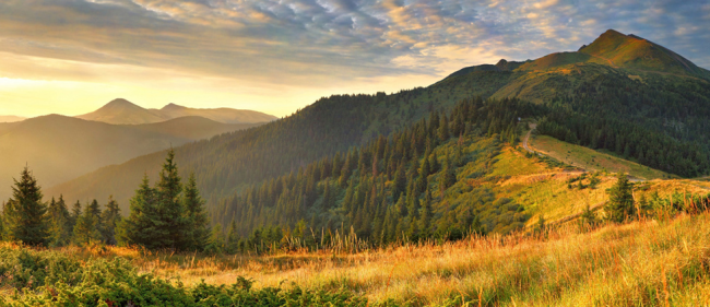 Закарпатские венгры на пути к Соединённым Штатам Украины Закарпатские венгры на пути к Соединённым Штатам Украины