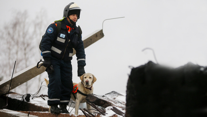 Российские спасатели отмечают профессиональный праздник Российские спасатели отмечают профессиональный праздник