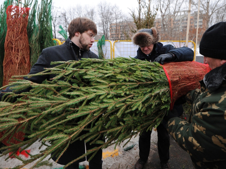 Зараженные елки и смертоноcные купюры: киевская пропаганда в ДНР дошла до абсурда Зараженные елки и смертоноcные купюры: киевская пропаганда в ДНР дошла до абсурда