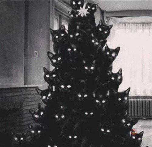 Как коты роняют ёлки