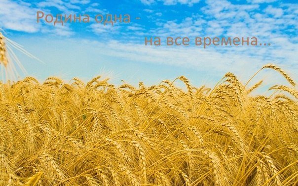 Я – русская! И я горжусь этим