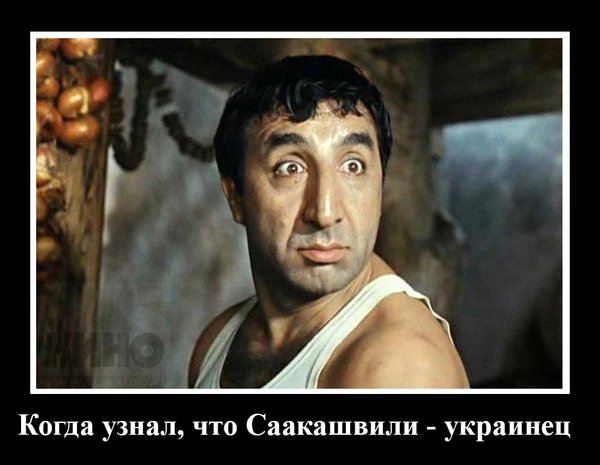 "Мыздобулы" в картинках. Смешных и не очень... 28-12-2015