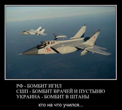 "Мыздобулы" в картинках. Смешных и не очень... 28-12-2015