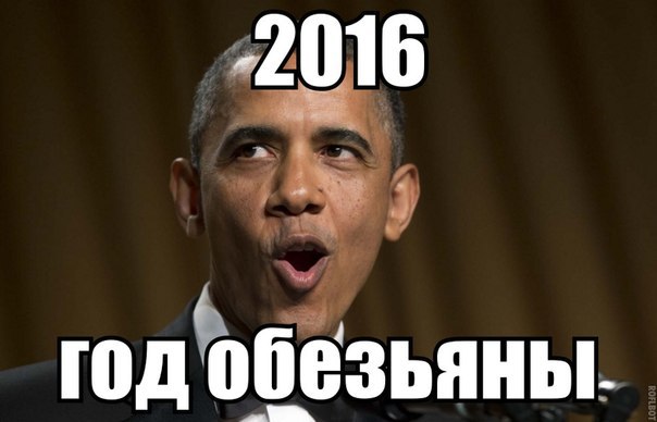 "Мыздобулы" в картинках. Смешных и не очень... 28-12-2015