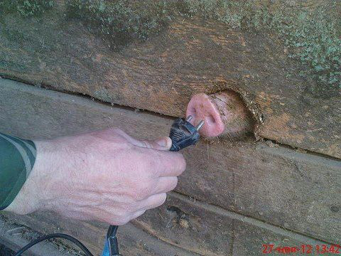 "Мыздобулы" в картинках. Смешных и не очень... 28-12-2015