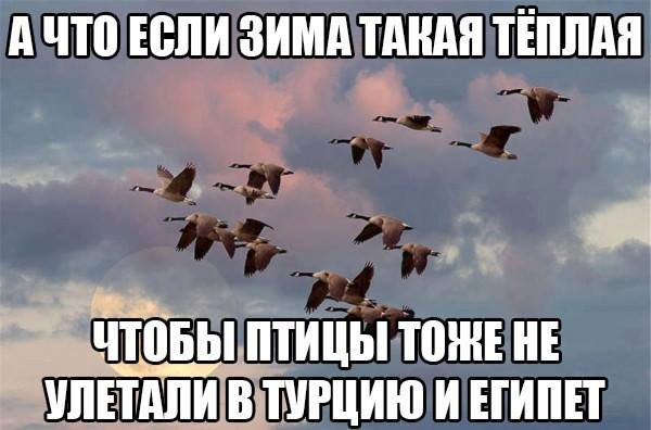 "Мыздобулы" в картинках. Смешных и не очень... 28-12-2015