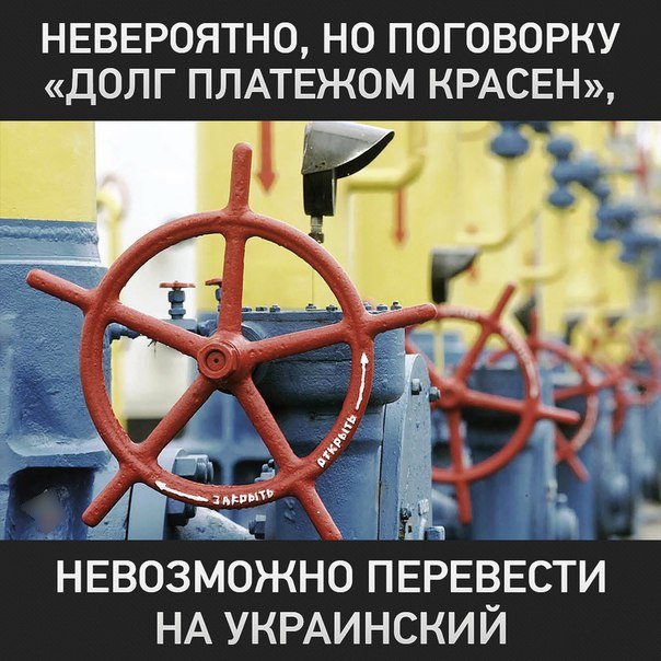 "Мыздобулы" в картинках. Смешных и не очень... 28-12-2015