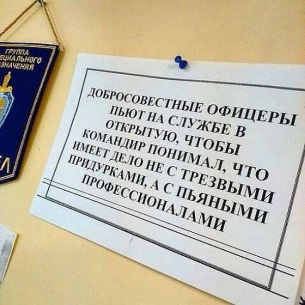 "Мыздобулы" в картинках. Смешных и не очень... 31-12-2015