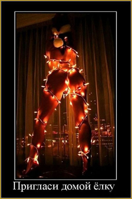 "Мыздобулы" в картинках. Смешных и не очень... 31-12-2015