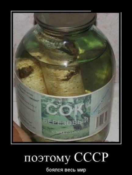 "Мыздобулы" в картинках. Смешных и не очень... 31-12-2015