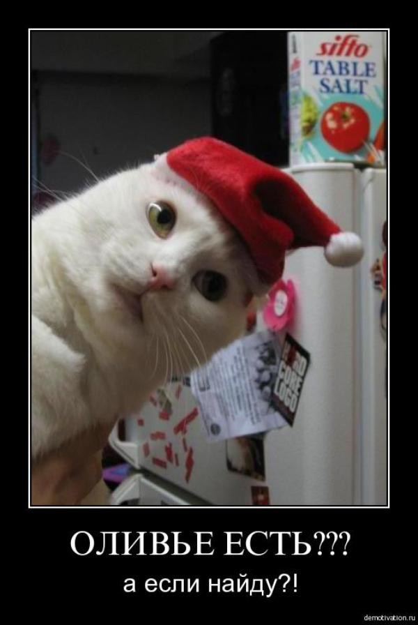 "Мыздобулы" в картинках. Смешных и не очень... 31-12-2015