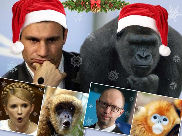 "Мыздобулы" в картинках. Смешных и не очень... 31-12-2015