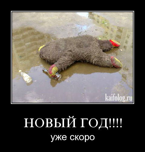 "Мыздобулы" в картинках. Смешных и не очень... 31-12-2015