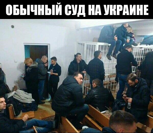 "Мыздобулы" в картинках. Смешных и не очень... 31-12-2015