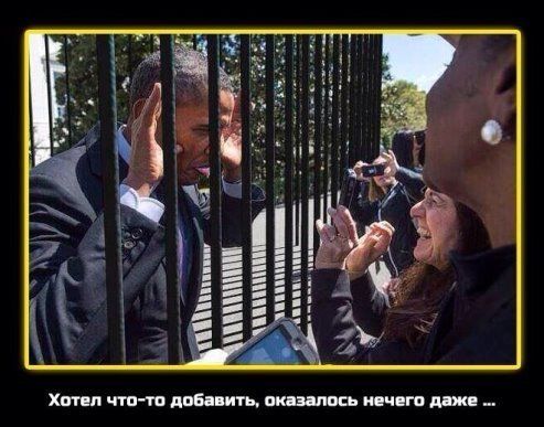 "Мыздобулы" в картинках. Смешных и не очень... 31-12-2015