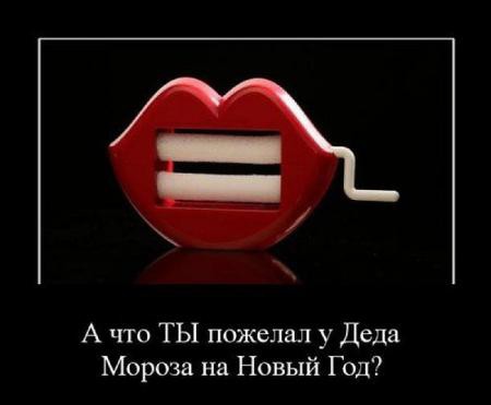 "Мыздобулы" в картинках. Смешных и не очень... 31-12-2015