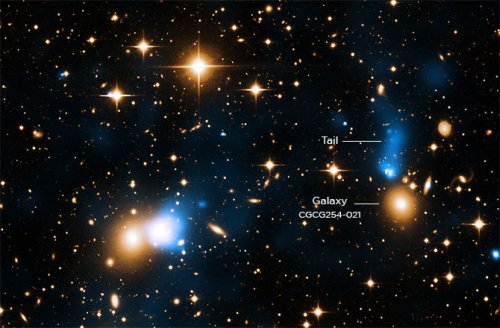 Предновогодняя подборка новостей в сфере науки Предновогодняя подборка новостей в сфере науки