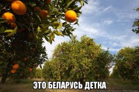 Я худею с белорусов ...