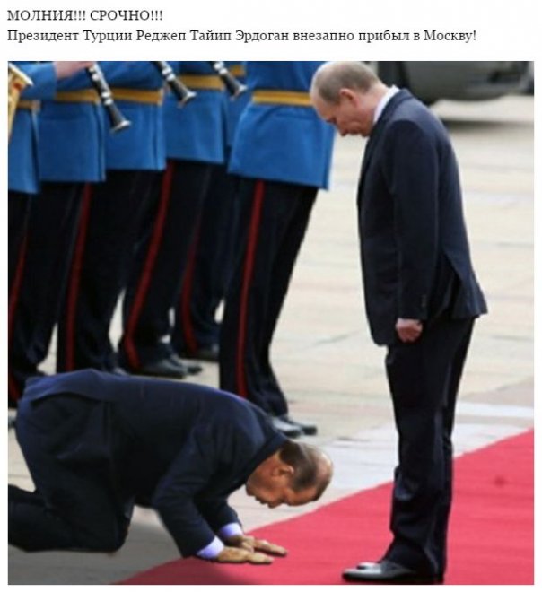 "Мыздобулы" в картинках. Смешных и не очень... 3-12-2015