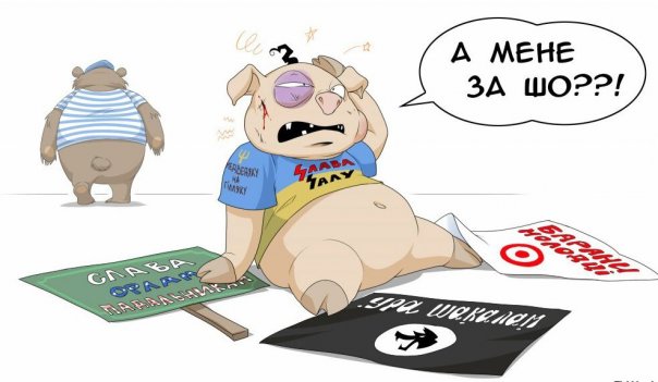 "Мыздобулы" в картинках. Смешных и не очень... 3-12-2015