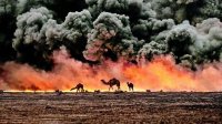 Раздел «пирога» близок – Вашингтон «зашевелился»