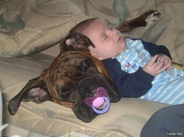 Когда закончился завод...