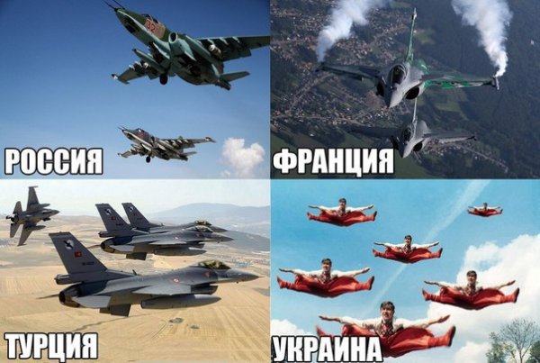 "Мыздобулы" в картинках. Смешных и не очень... 11-12-2015