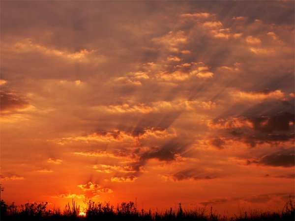 Батяня-Поэт… Александр Шаганов