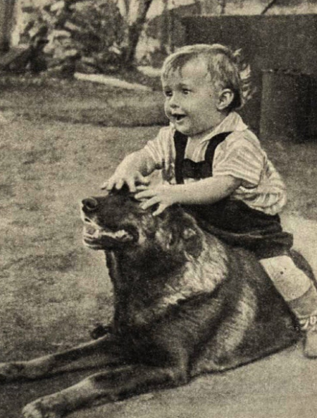 Правда о Молодой Гвардии и почему Александр Фадеев пожалел читателей