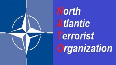 Sorcha Faal: Путин санкционирует войну с НАТО