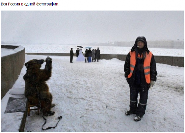 "Мыздобулы" в картинках. Смешных и не очень... 25-12-2015