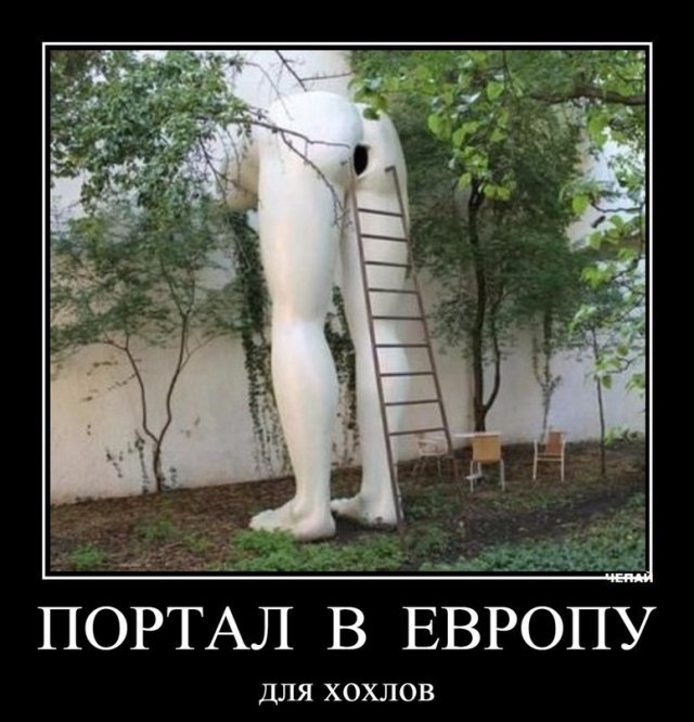 "Мыздобулы" в картинках. Смешных и не очень... 25-12-2015