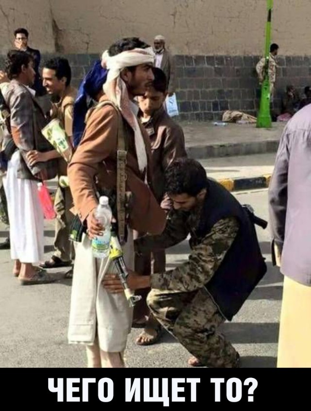 "Мыздобулы" в картинках. Смешных и не очень... 28-12-2015