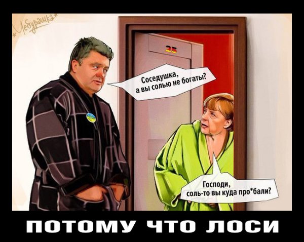 "Мыздобулы" в картинках. Смешных и не очень... 31-12-2015