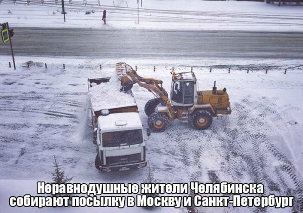 "Мыздобулы" в картинках. Смешных и не очень... 31-12-2015