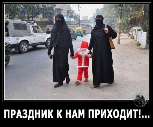 "Мыздобулы" в картинках. Смешных и не очень... 31-12-2015