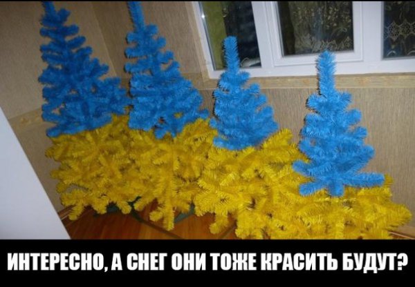 "Мыздобулы" в картинках. Смешных и не очень... 31-12-2015