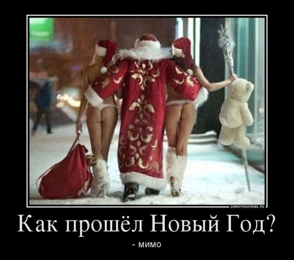 "Мыздобулы" в картинках. Смешных и не очень... 31-12-2015