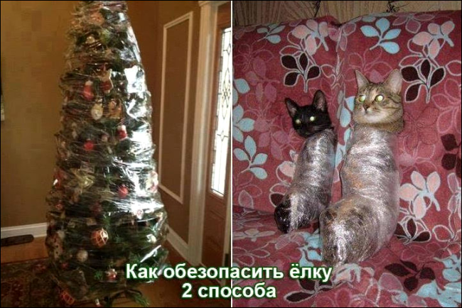 Поздравительные (и не очень) новогодние ёлочки с котегами :)) Поздравительные (и не очень) новогодние ёлочки с котегами :))