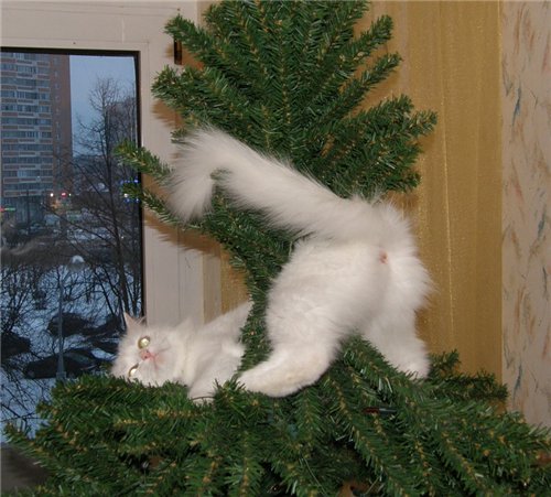 Поздравительные (и не очень) новогодние ёлочки с котегами :)) Поздравительные (и не очень) новогодние ёлочки с котегами :))