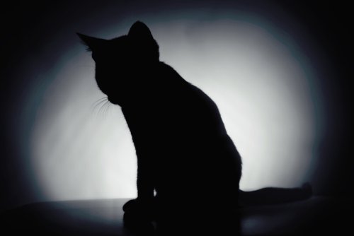 Новогодняя подборка новостей с мира науки и техники