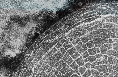 Новая подборка новостей науки и техники за 07-01-2016 Новая подборка новостей науки и техники за 07-01-2016